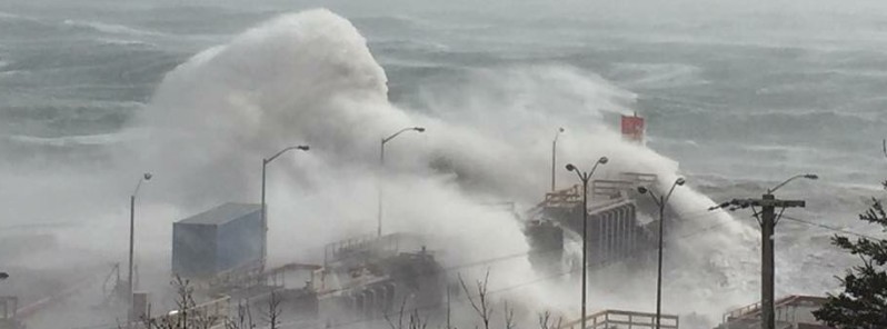 Winds and hail roll in after a day of extreme heat in Sydney, with temperatures topping 40C