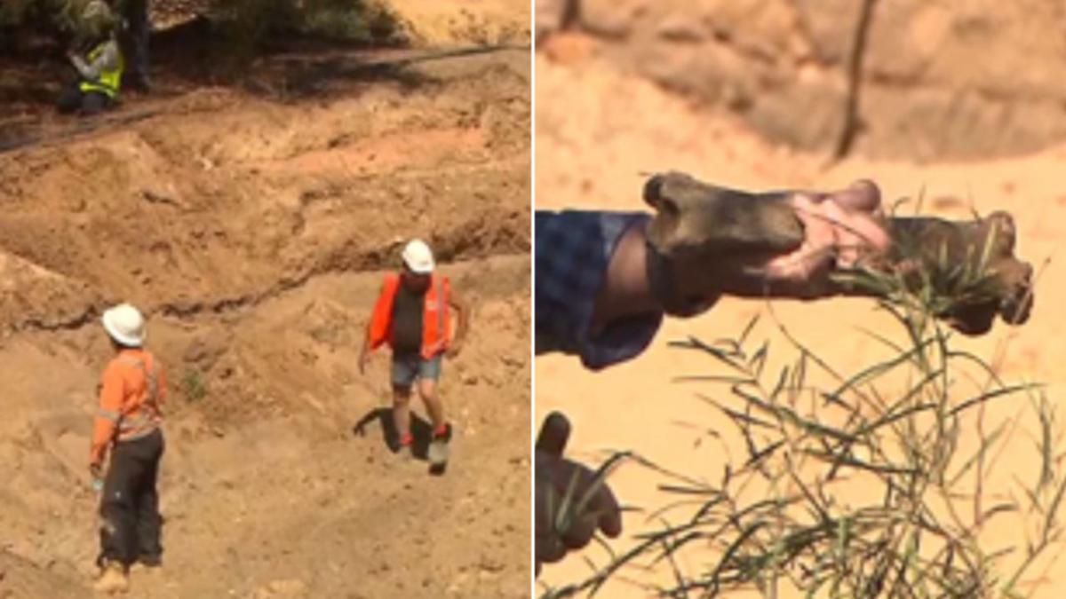 North Plympton dig uncovers a new site of interest in the search for the missing three Beaumont children