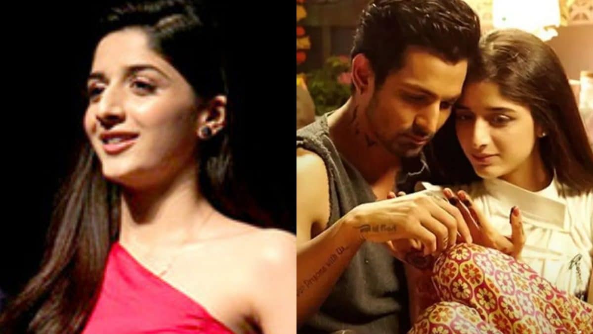 Amid Sanam Teri Kasam re-release success, Harshvardhan Rane injures foot, compares himself with giraffe