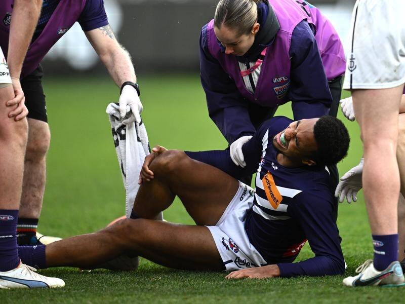 Fremantle suffer nightmare loss to St Kilda as AFL world universally slam dismal performance