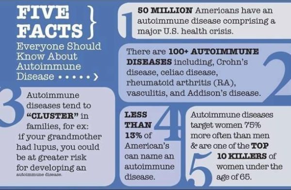 ‘An autoimmune disorder’: how Trump is turning American democracy against itself