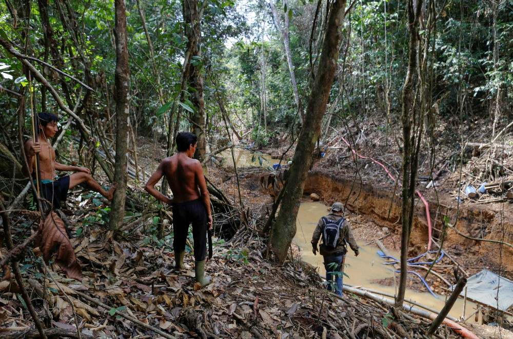 Brazil’s environmental movement is under threat – and Lula is siding with oil industry