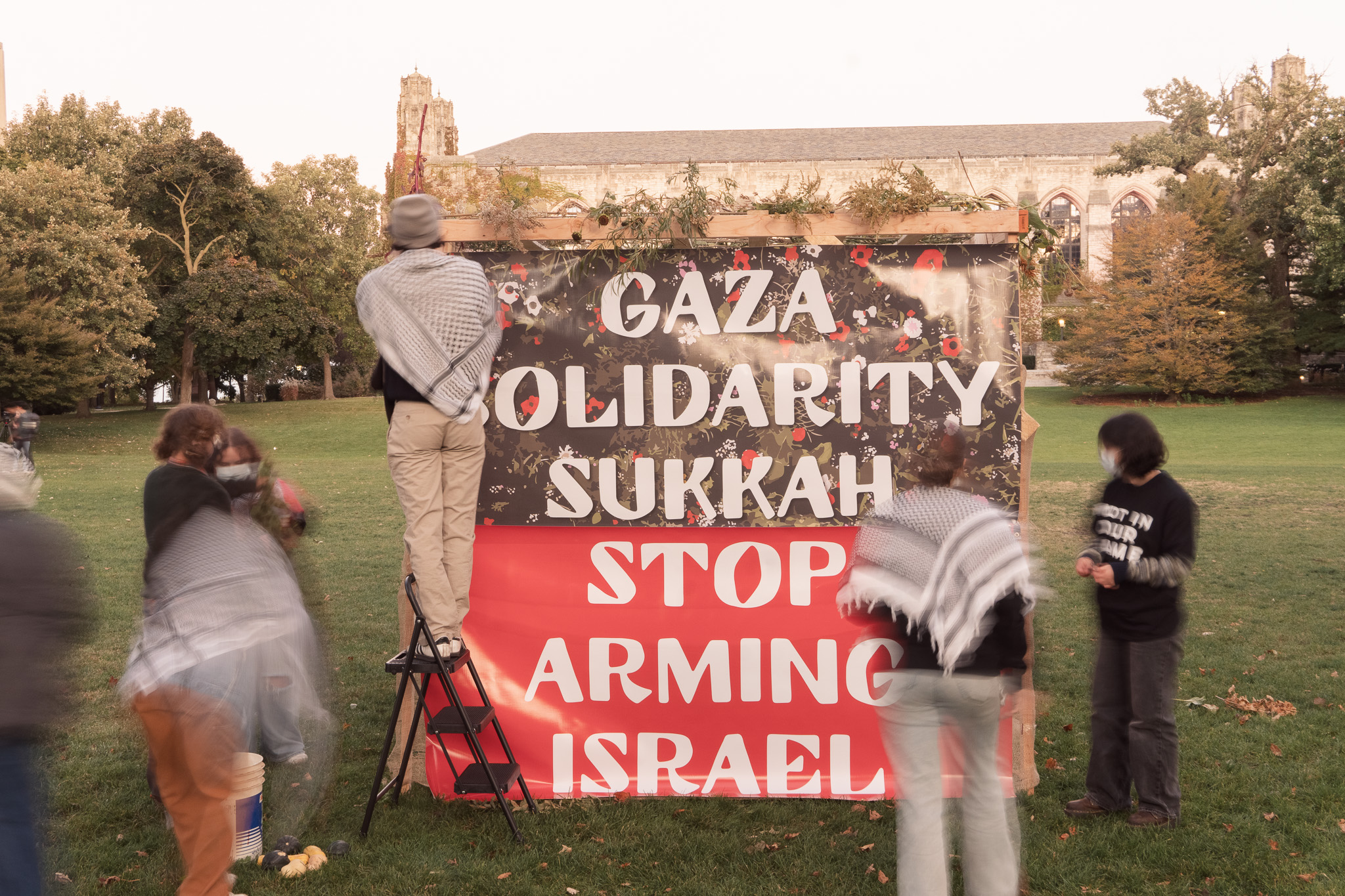 What is Project Esther, the playbook against pro-Palestine movement in US?