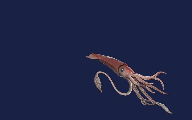 “Squid Game 3”: Everything We Know About the Netflix Series’ Final Season