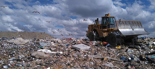 Waste not, feed many