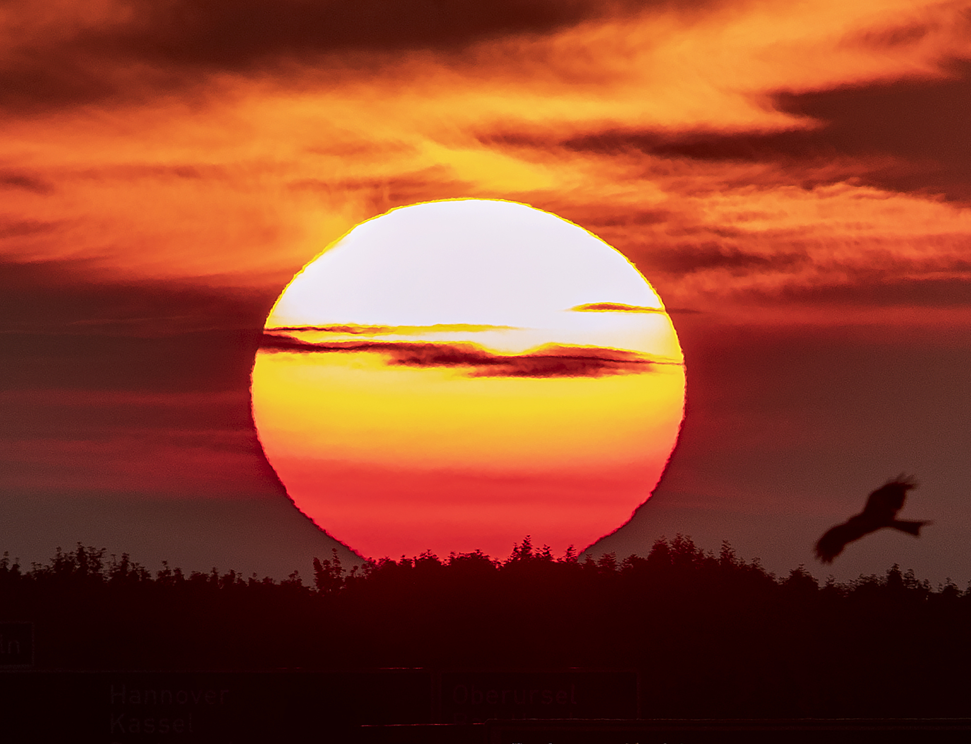 Summer Solstice 2025: Why June 21 will be longest day, how it’s celebrated around world