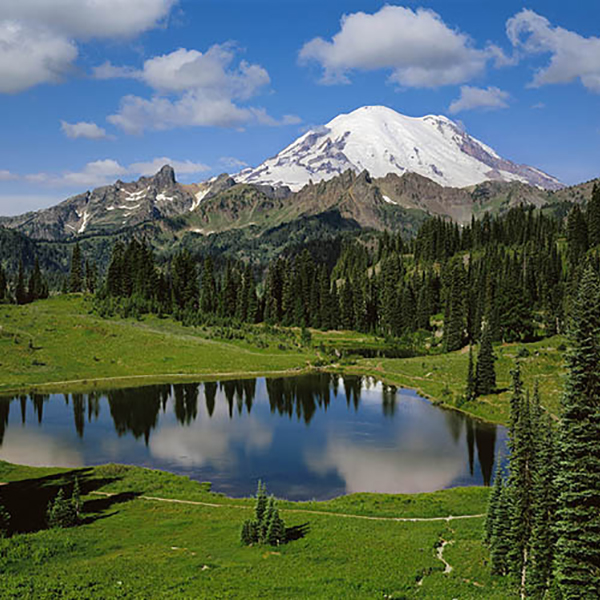 Scenic road trips across the US for breathtaking views and memorable adventures