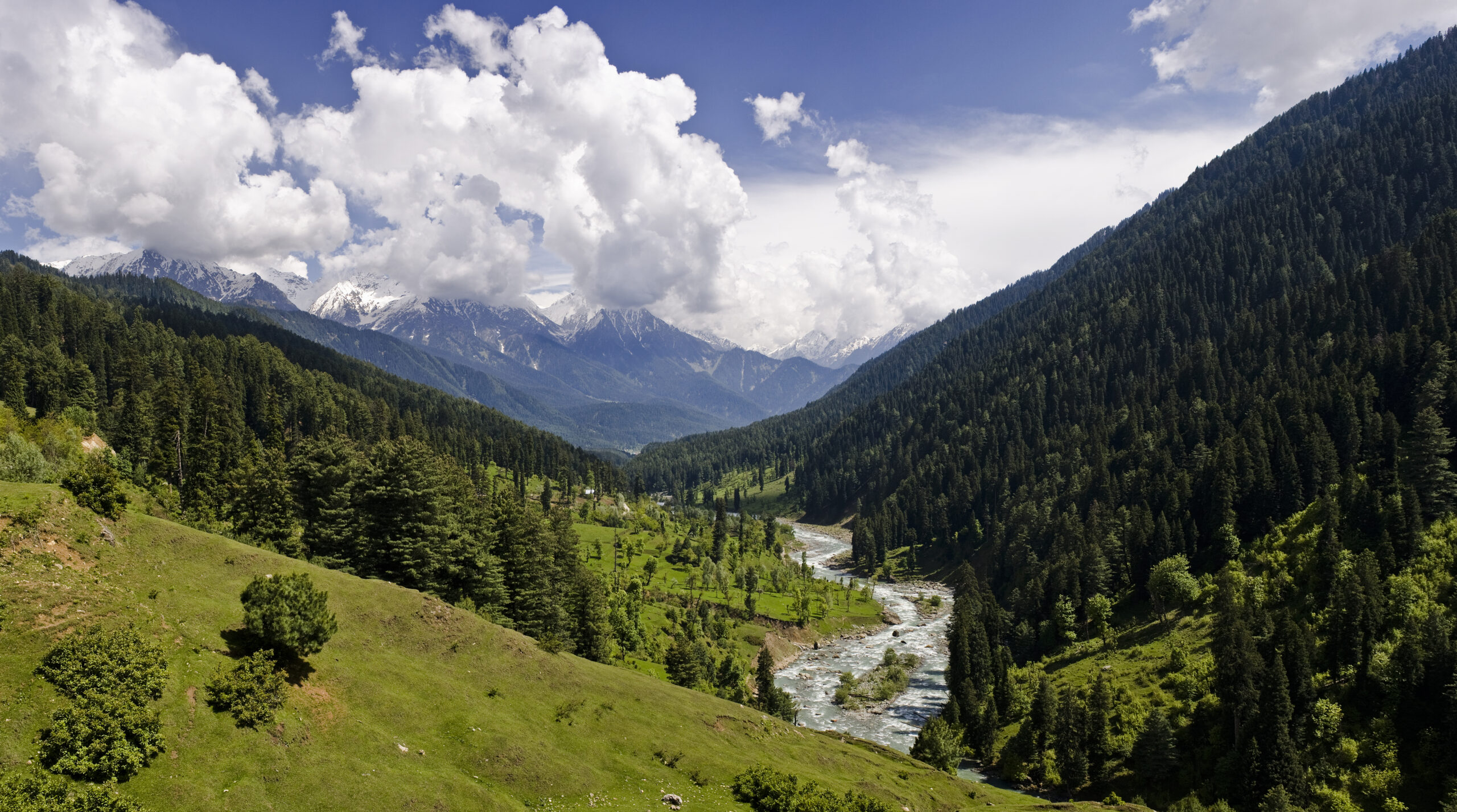 Jammu and Kashmir news: Encounter breaks out in Kulgam’s Guddar forest, one Army soldier injured