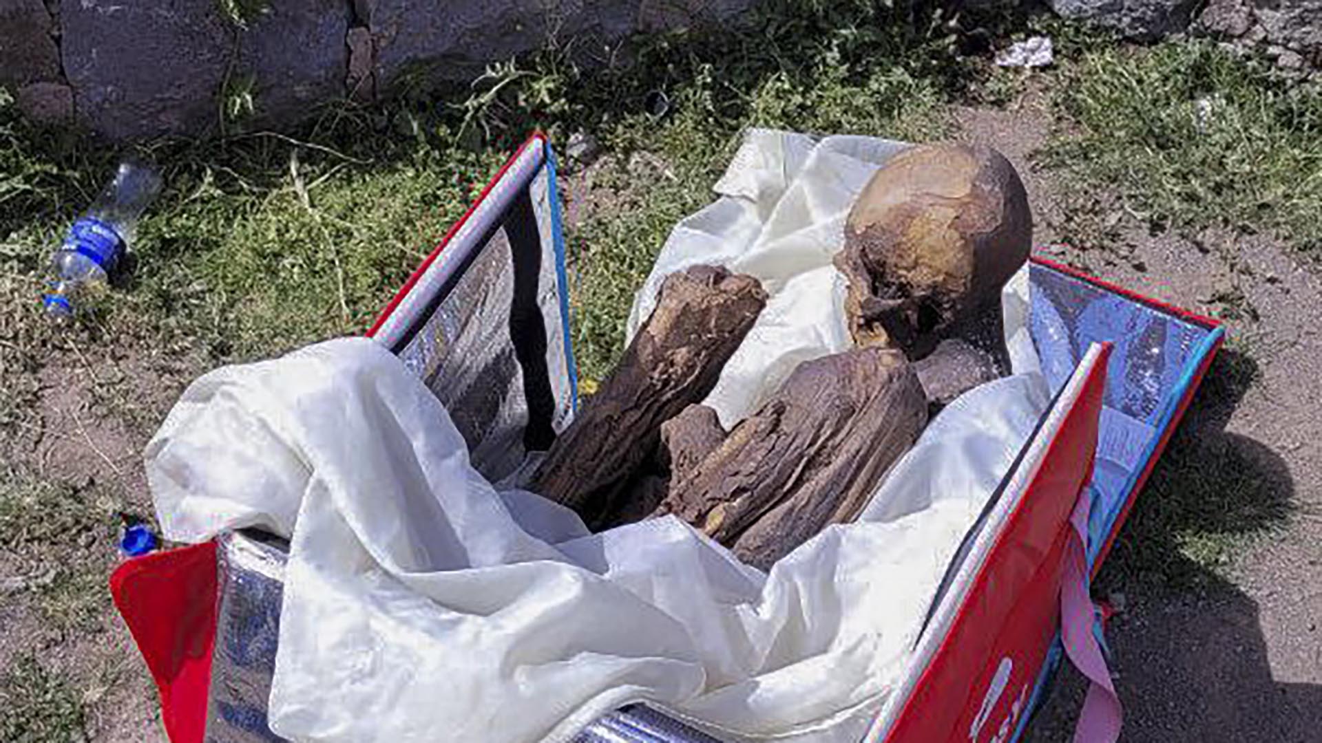Corpse Found In the Trunk of a Vehicle Registered to D4vd — We Have Questions