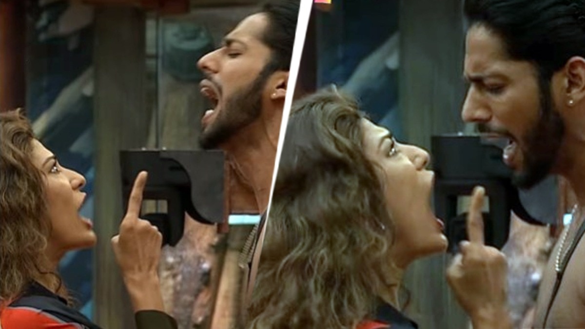 Ruckus in BB, Basir-Nehal forgetting decorum, pushing and shoving? shocked fans