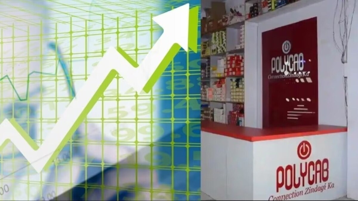 Polycab shares made a record today, expert said