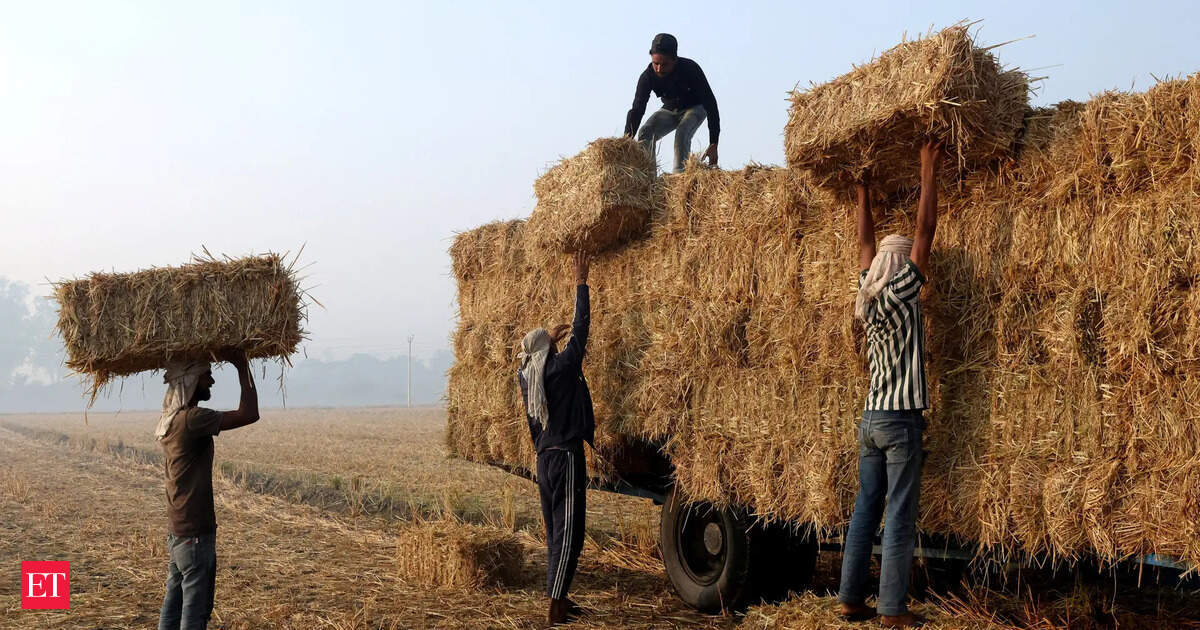 Utilising 7.3 mn tonnes of straw can produce renewable energy worth Rs 270 cr a year: IBA