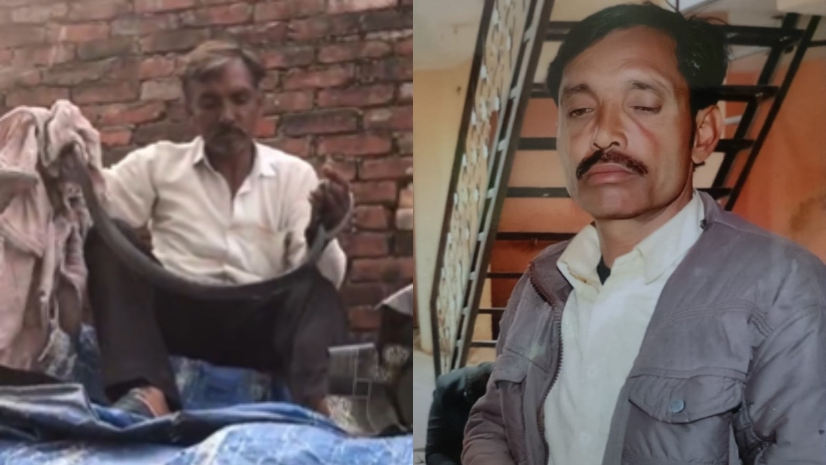 The farmer kept playing with the cobra after bringing it home, it got bitten at many places including the tongue, Video