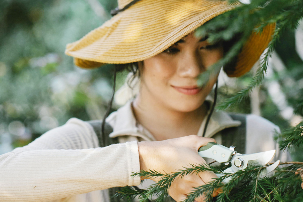 A passion for pruning