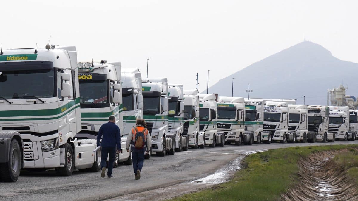 Why over 460 Indian truck drivers have lost their licences in New Zealand