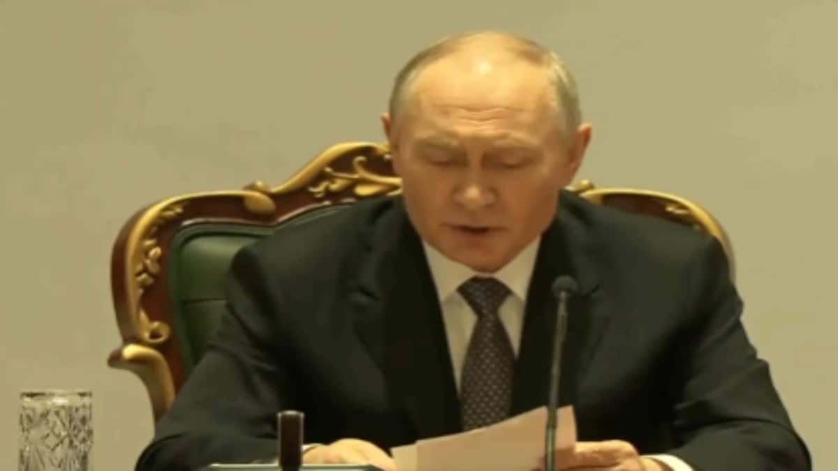 ‘Not here only for energy’: Putin says Russia seeks multifaceted partnership with India