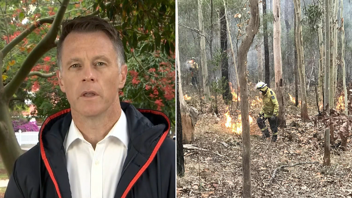 Firefighter killed in Bulahdelah blaze as Anthony Albanese and Chris Minns pay respects