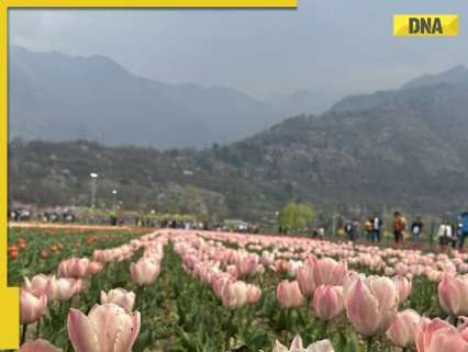 DNA TV Show: Kashmir’s air quality deteriorates as AQI crosses 300
