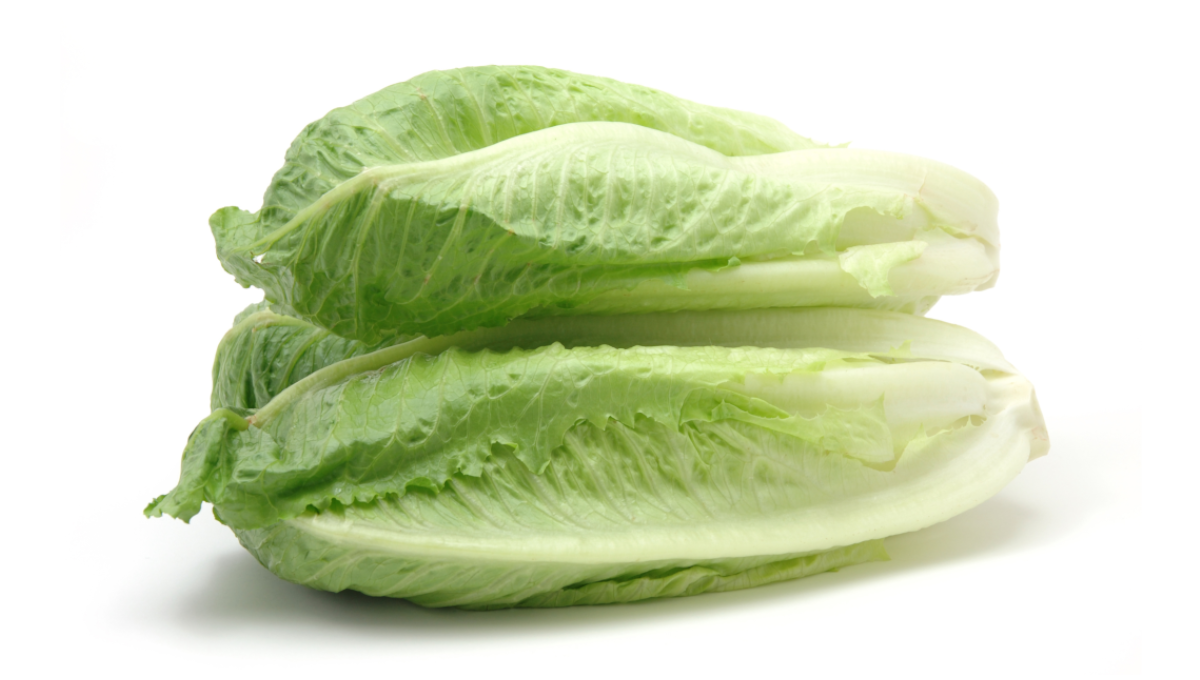 Publisher’s Platform: What the FDA did not want you to read about the November 2024 romaine E. coli outbreak
