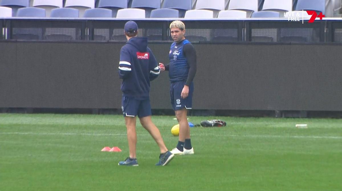 AFL clears troubled Geelong forward Tyson Stengle to make long-awaited return to play