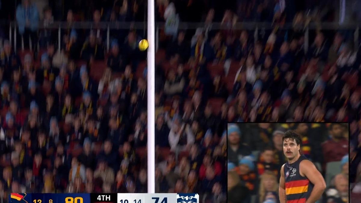 Stitched-up debutant Hugo Hall-Kahan saves the day for Adelaide after late goal review drama