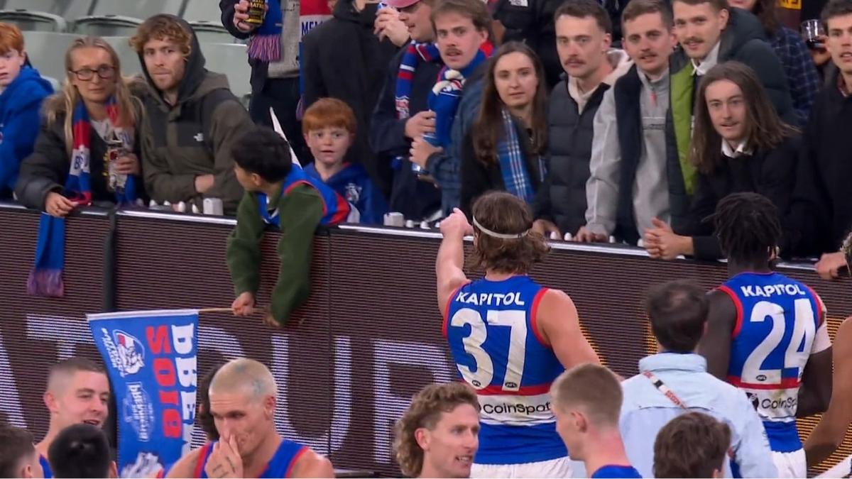 Hawthorn fan clashes with Bulldogs defender Michael Sellwood in ugly post-script to AFL thriller