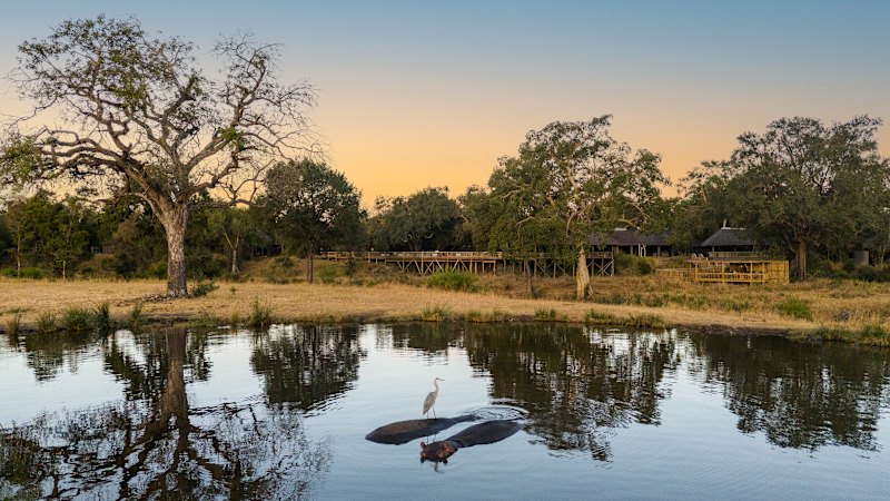 Budget or luxury? Two ways to do a safari, put to the test