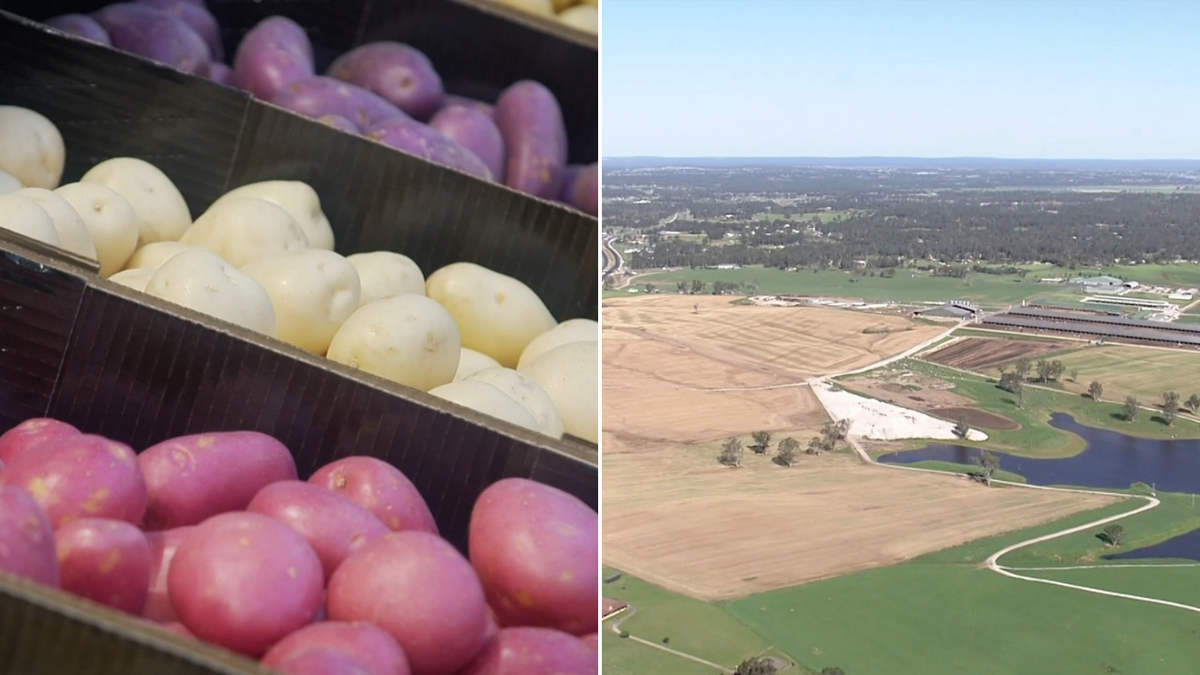 New laws proposed to protect Australian farmland from suburban sprawl amid food security fears