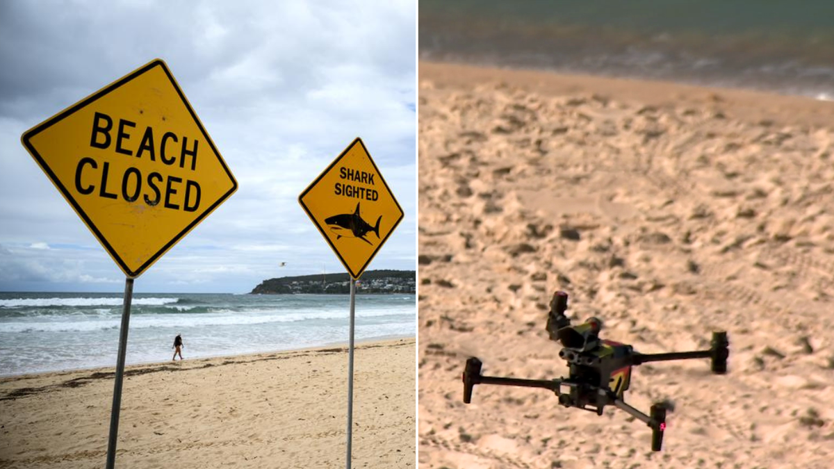 AI-powered drones could patrol Sydney beaches to prevent shark attacks