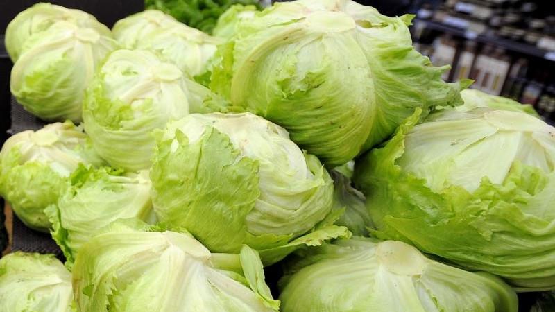 US cyclosporiasis outbreak linked to lettuce expands as case numbers rise