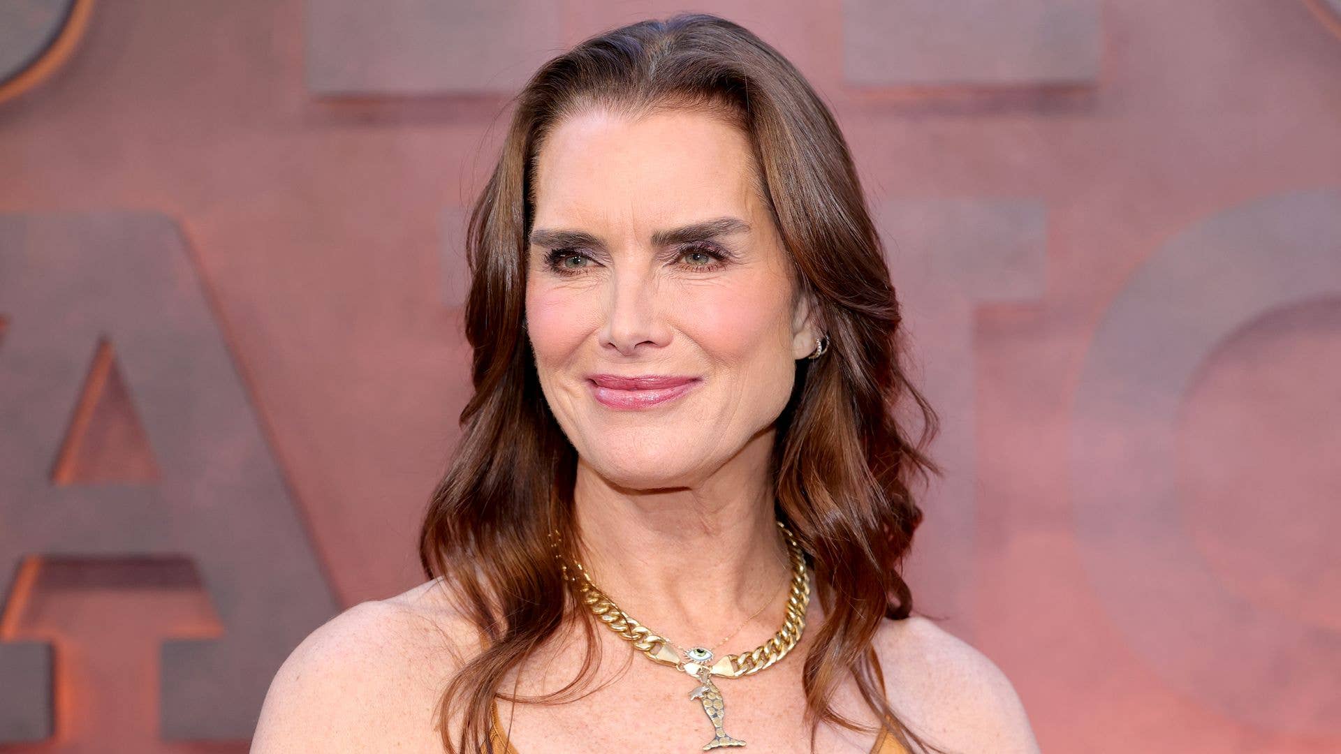 Brooke Shields abruptly deletes stunning swimsuit-clad photos after devastating news