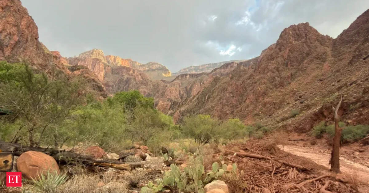 15 people go missing in Grand Canyon flash flood