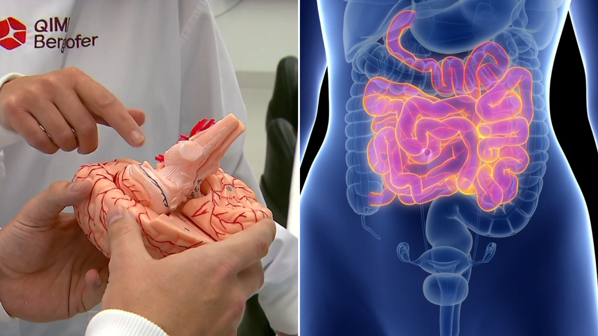 New study reveals surprising link between gut health and depression