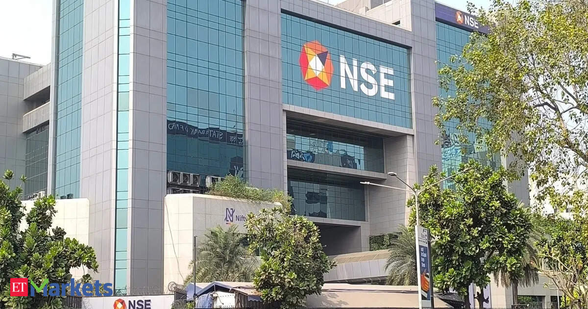 Can NSE IPO deliver long-term growth for high-risk investors?