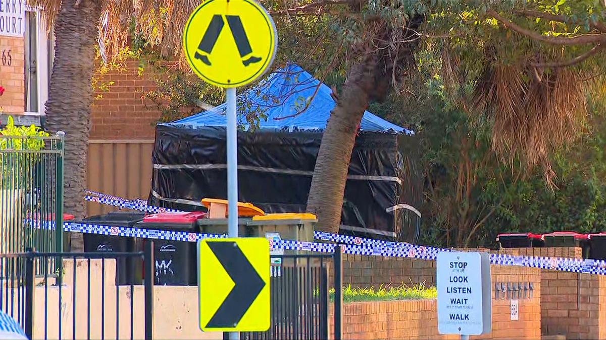 NSW Police arrest woman after newborn baby found dead in Sydney bin