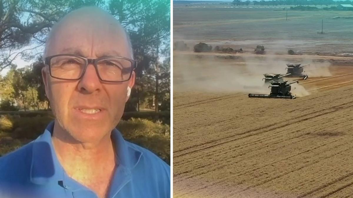 WA’s multibillion-dollar grain harvest at risk as workers blocked or delayed