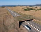 Colorado wildlife overpass cut vehicle-animal collisions by 91%, report finds